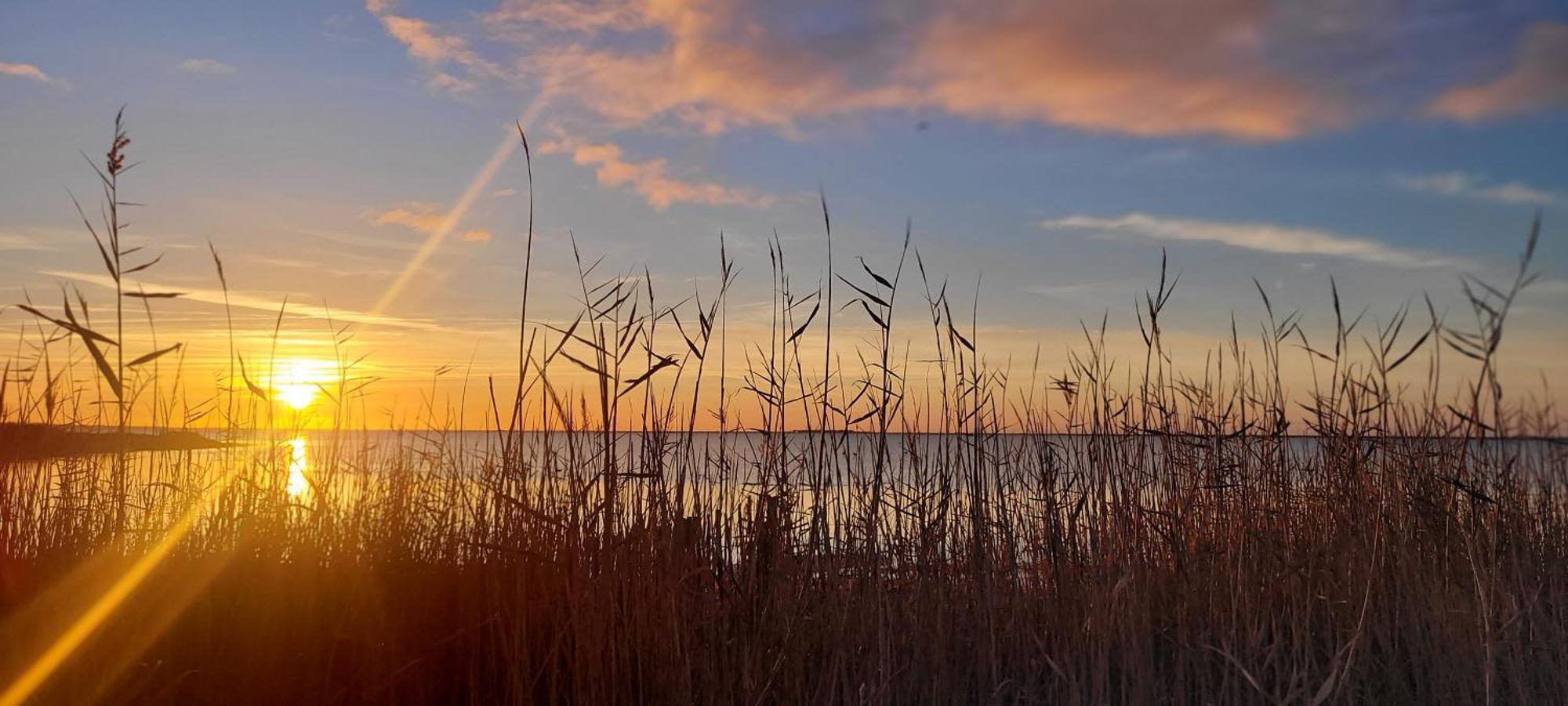 Meze Avec Vue Face A L'Etang Villa Eksteriør billede